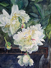 Peonies by Andrea Holte