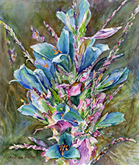 Turquoise Puya by Andrea Holte